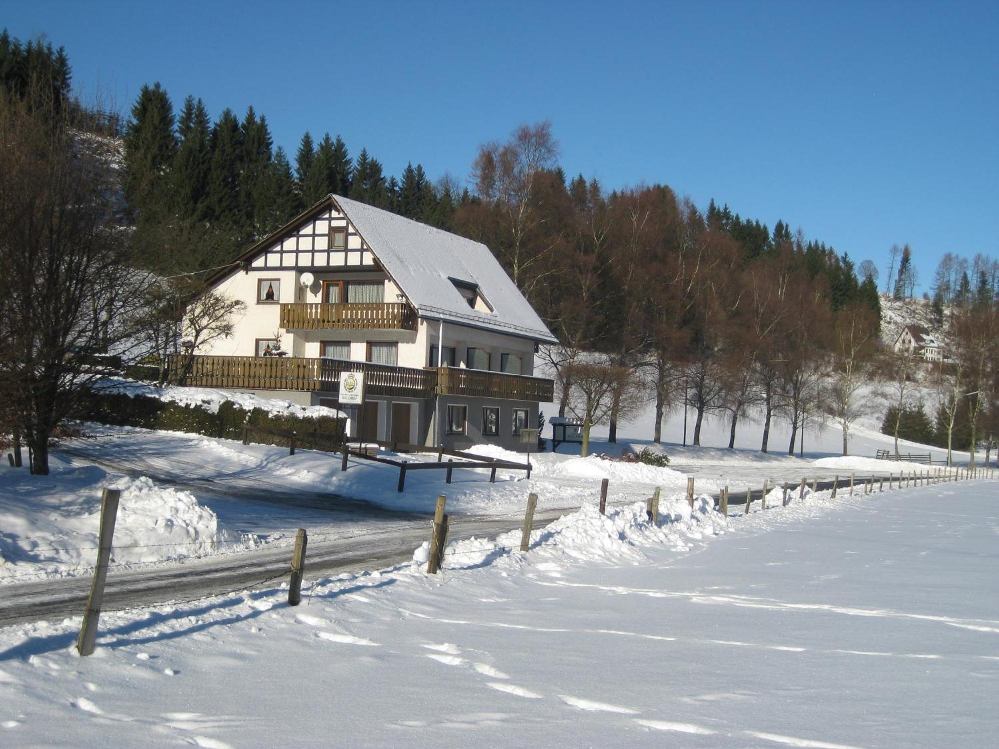 Pension-Gaestehaus Waldhof Winterberg Eksteriør bilde