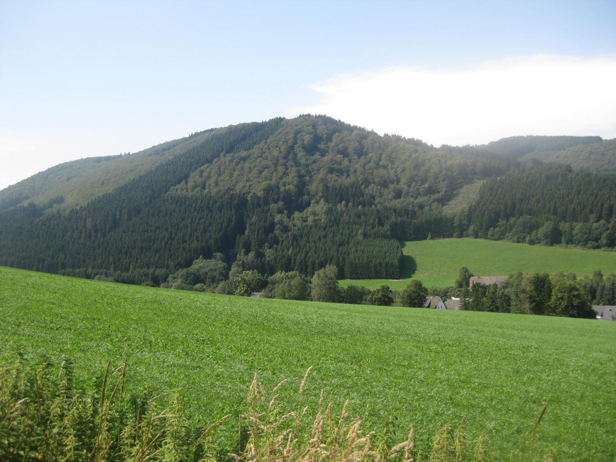 Pension-Gaestehaus Waldhof Winterberg Eksteriør bilde